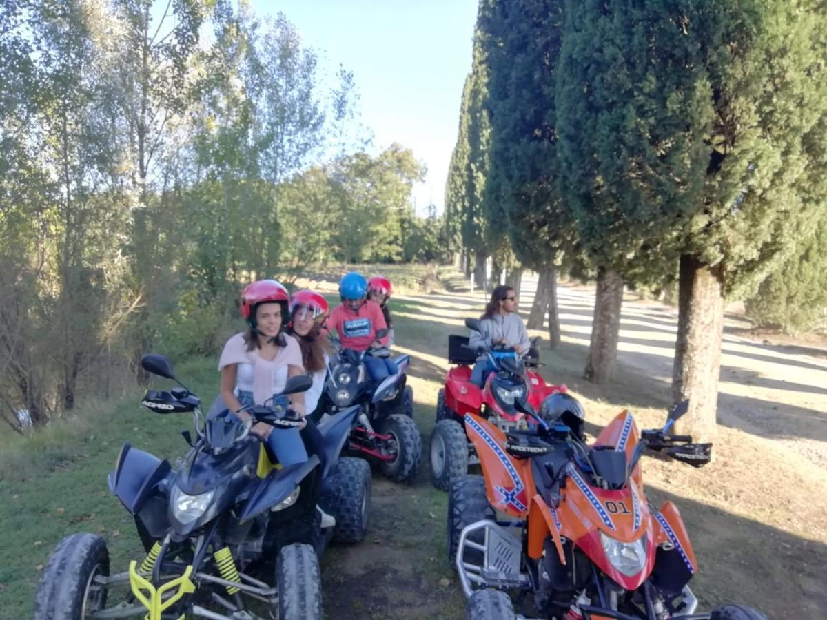 Appartamento Crete Senesi 卡斯德尔诺沃贝拉登卡 外观 照片