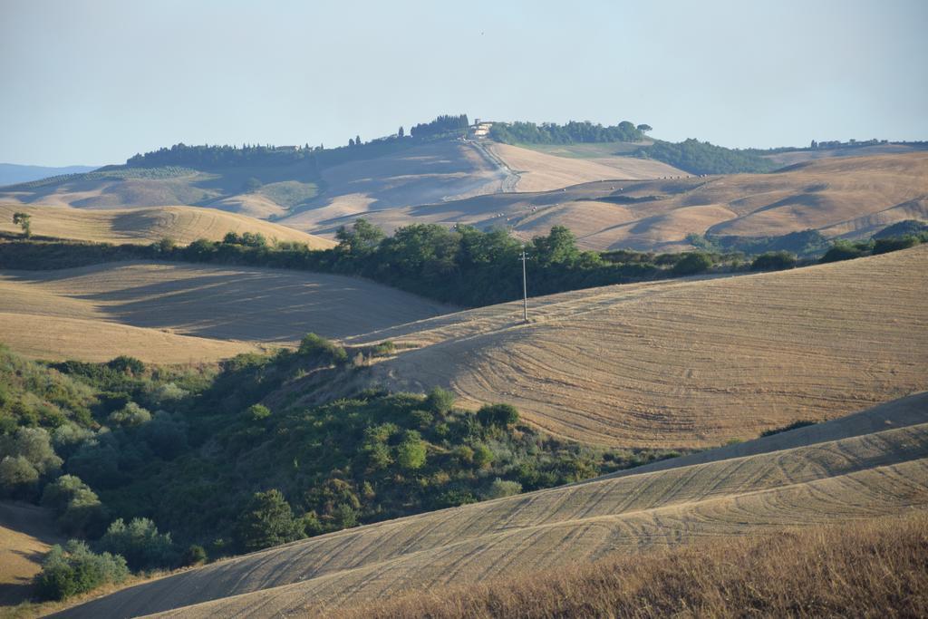 Appartamento Crete Senesi 卡斯德尔诺沃贝拉登卡 外观 照片