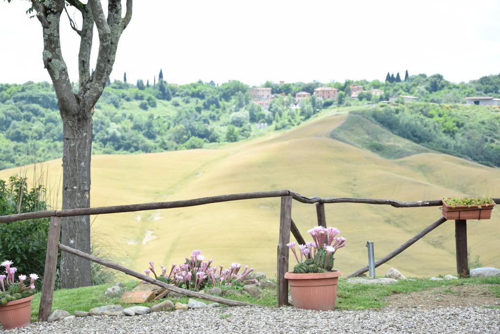 Appartamento Crete Senesi 卡斯德尔诺沃贝拉登卡 外观 照片