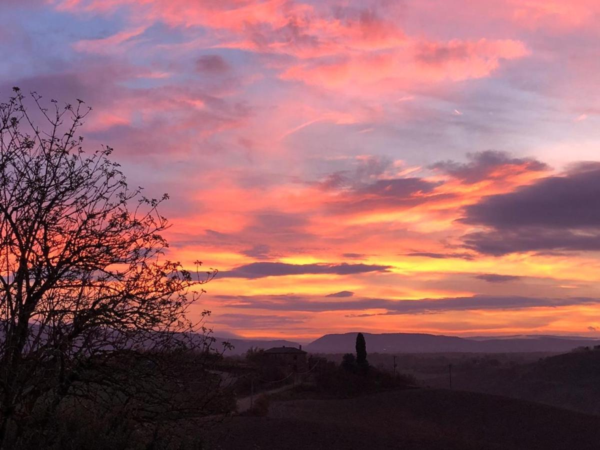 Appartamento Crete Senesi 卡斯德尔诺沃贝拉登卡 外观 照片